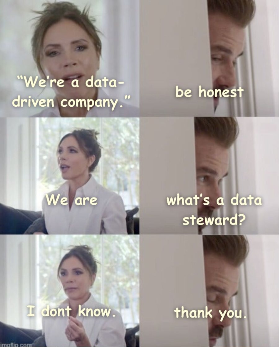 Data steward meme